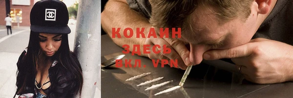 индика Алексеевка